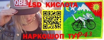 дмт Аргун
