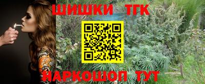 дмт Аргун