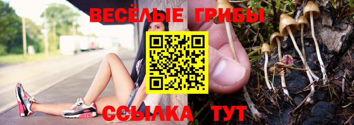 Галлюциногенные грибы MAGIC MUSHROOMS  Вход с VPN  Воронеж  Галлюциногенные грибы прущие грибы 